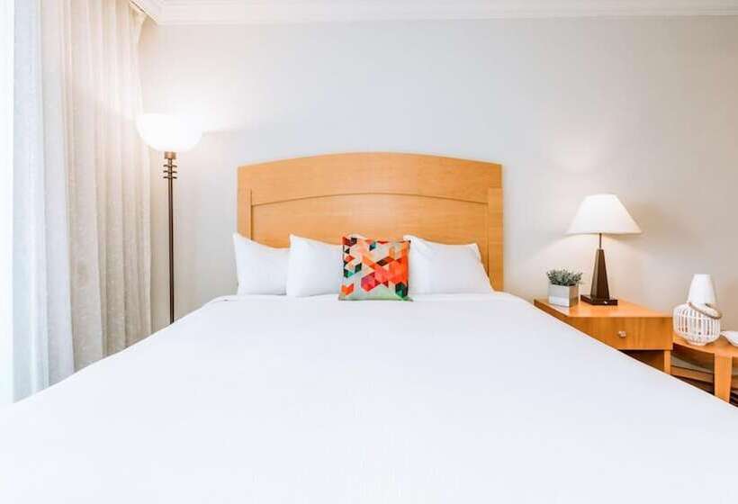 هتل 427 Pelican Studio