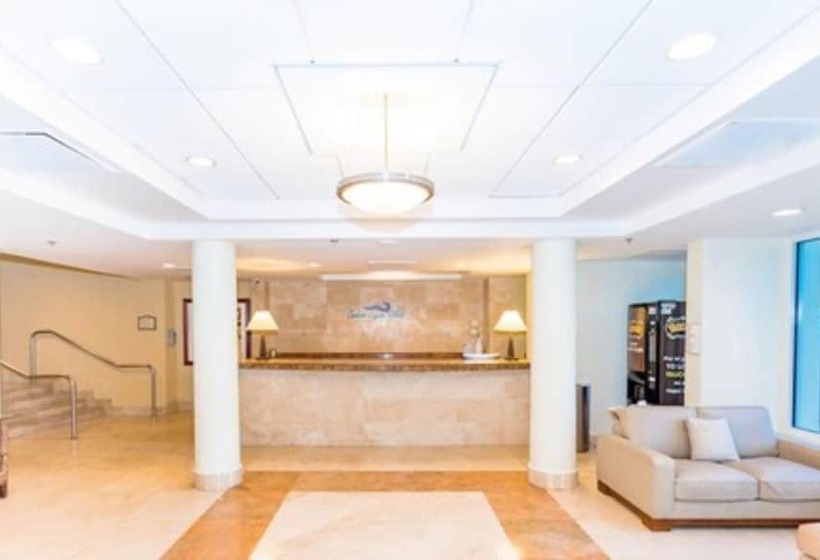 هتل 427 Pelican Studio