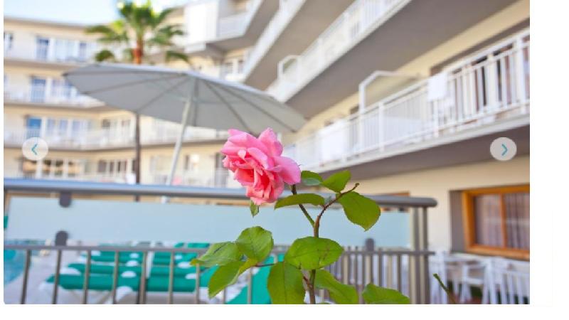 Apartamentos Ecuador Park