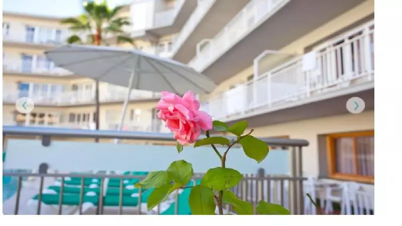 Apartamentos Ecuador Park