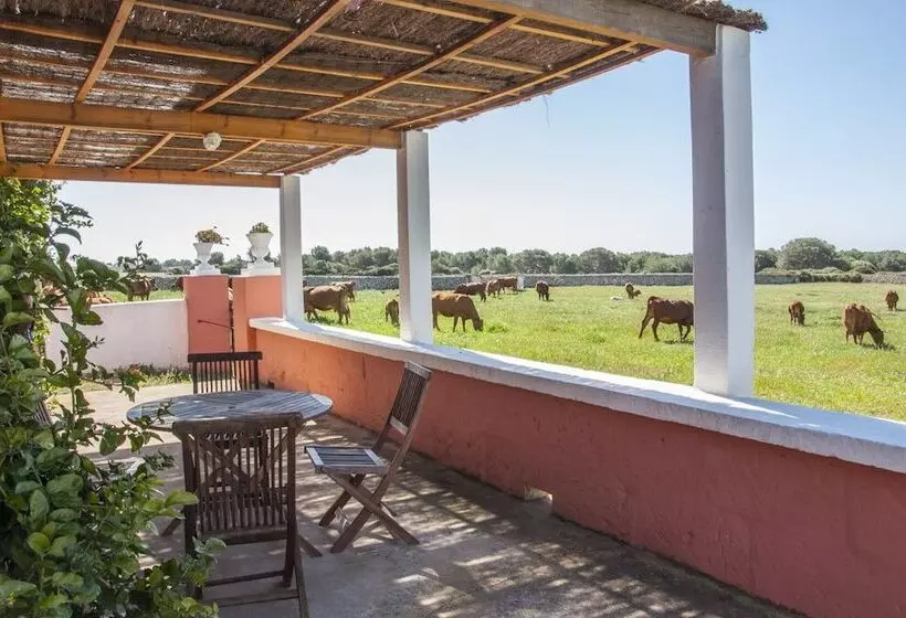 乡村酒店 Agroturismo Son Triay