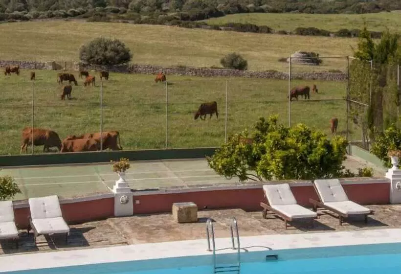 乡村酒店 Agroturismo Son Triay