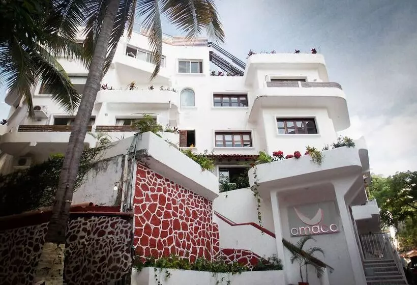 Отель Amaca Puerto Vallarta  Adults Only