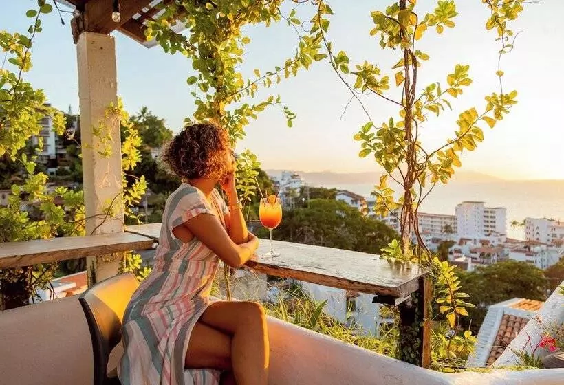 Отель Amaca Puerto Vallarta  Adults Only