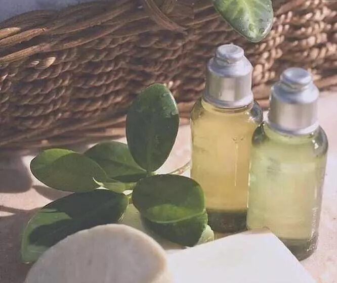 בית מלון כפרי Casa Rosa Montes