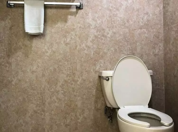 ホテル Los Cocos Chetumal