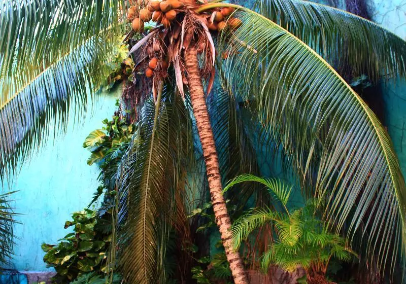 호텔 Maya Del Mar On Fifth Avenue