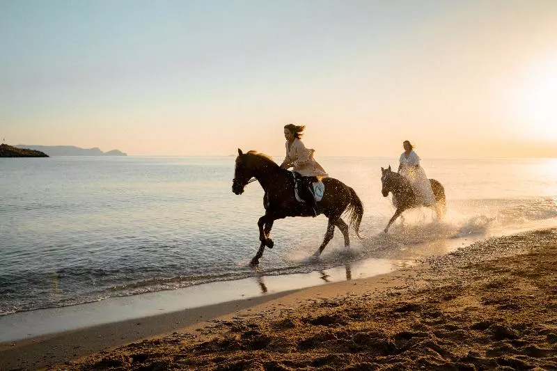 فندق Mitsis Rinela