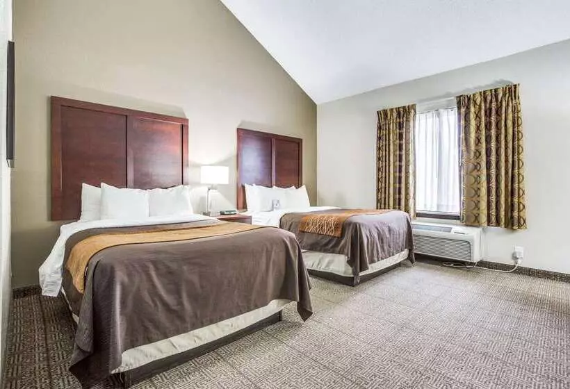 호텔 Comfort Inn & Suites Love Field Dallas Market Center