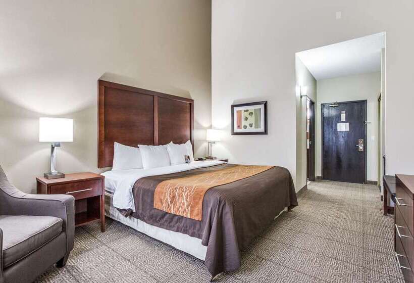 בית מלון כפרי Comfort Inn & Suites Love Field Dallas Market Center