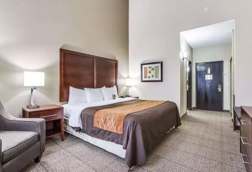 호텔 Comfort Inn & Suites Love Field Dallas Market Center