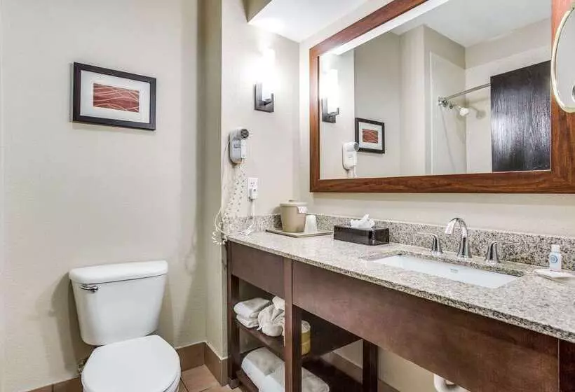 호텔 Comfort Inn & Suites Love Field Dallas Market Center