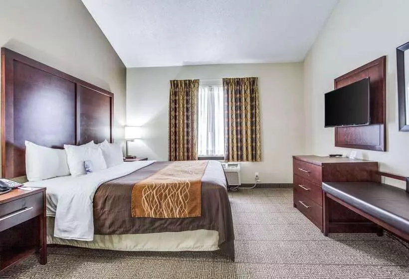 호텔 Comfort Inn & Suites Love Field Dallas Market Center