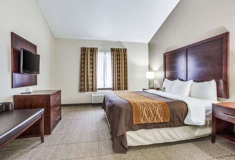 בית מלון כפרי Comfort Inn & Suites Love Field Dallas Market Center