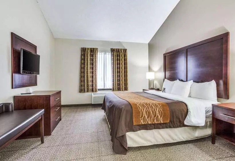 호텔 Comfort Inn & Suites Love Field Dallas Market Center