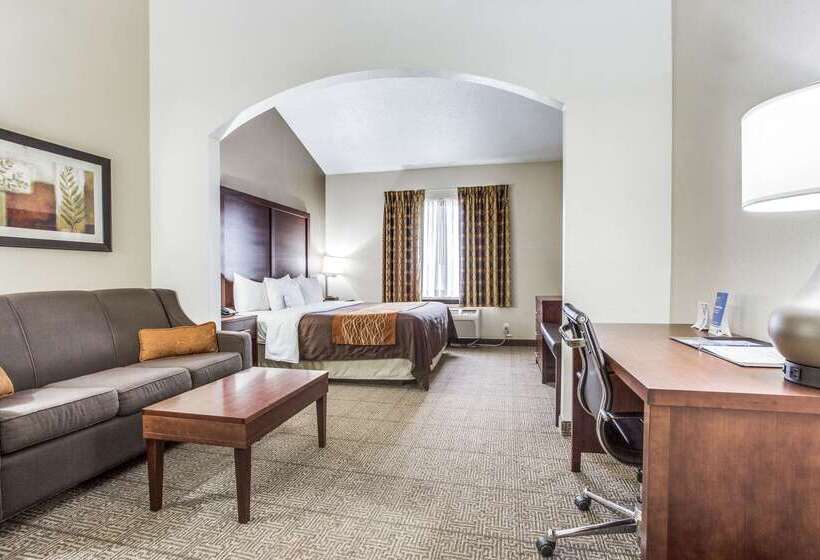 בית מלון כפרי Comfort Inn & Suites Love Field Dallas Market Center