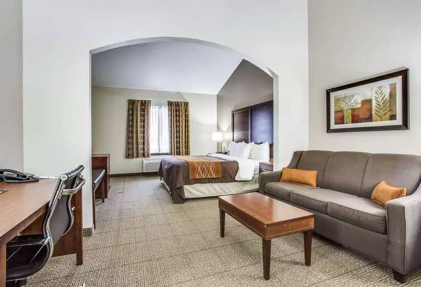 호텔 Comfort Inn & Suites Love Field Dallas Market Center
