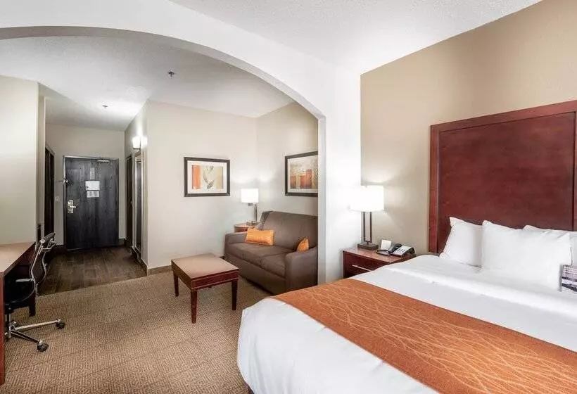 호텔 Comfort Inn & Suites Love Field Dallas Market Center