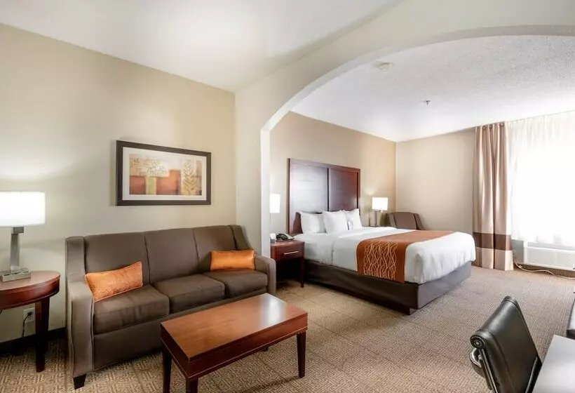 호텔 Comfort Inn & Suites Love Field Dallas Market Center