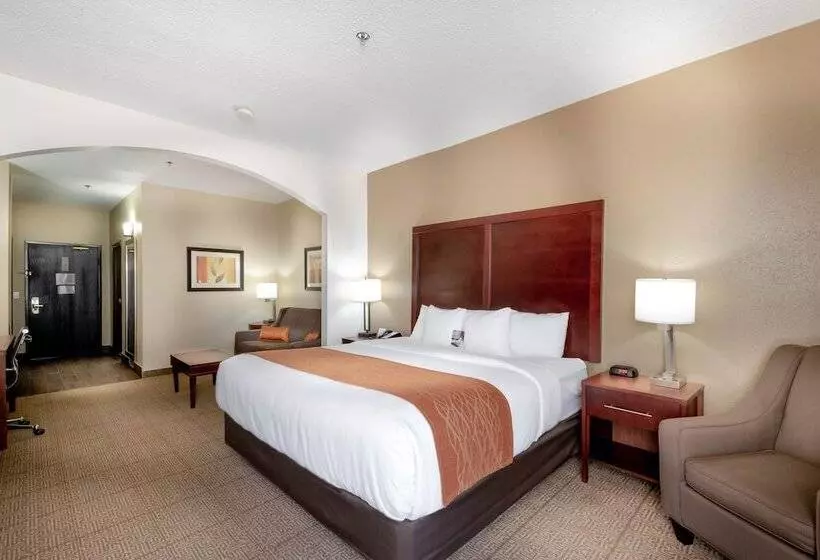 호텔 Comfort Inn & Suites Love Field Dallas Market Center