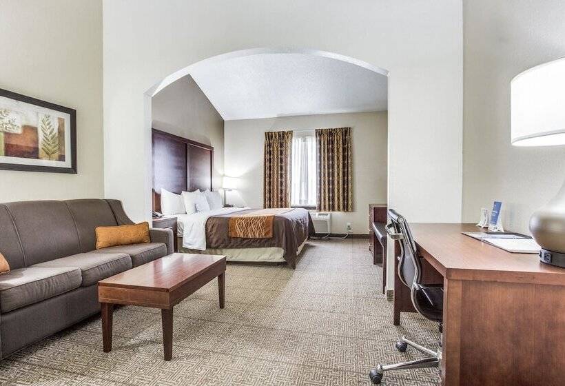 בית מלון כפרי Comfort Inn & Suites Love Field Dallas Market Center