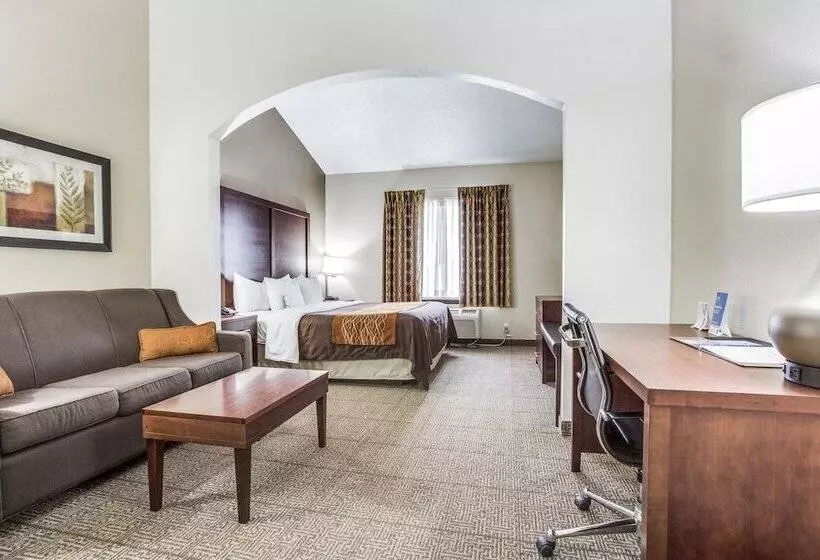 호텔 Comfort Inn & Suites Love Field Dallas Market Center