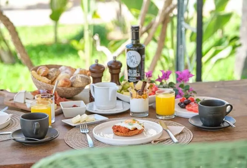 La Moraleja The Quiet Hotel   Adults Only