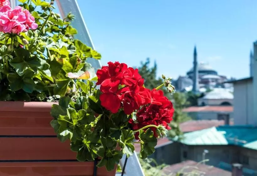 ホテル Sude Konak