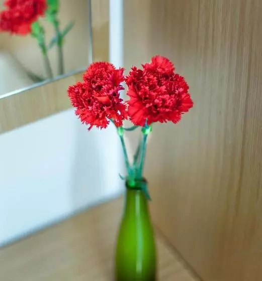 ホテル Sude Konak