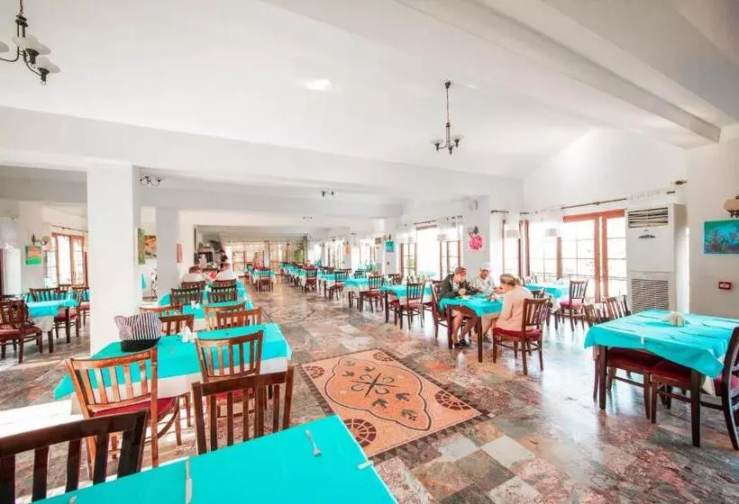 Отель Yel Holiday Resort   All Inclusive