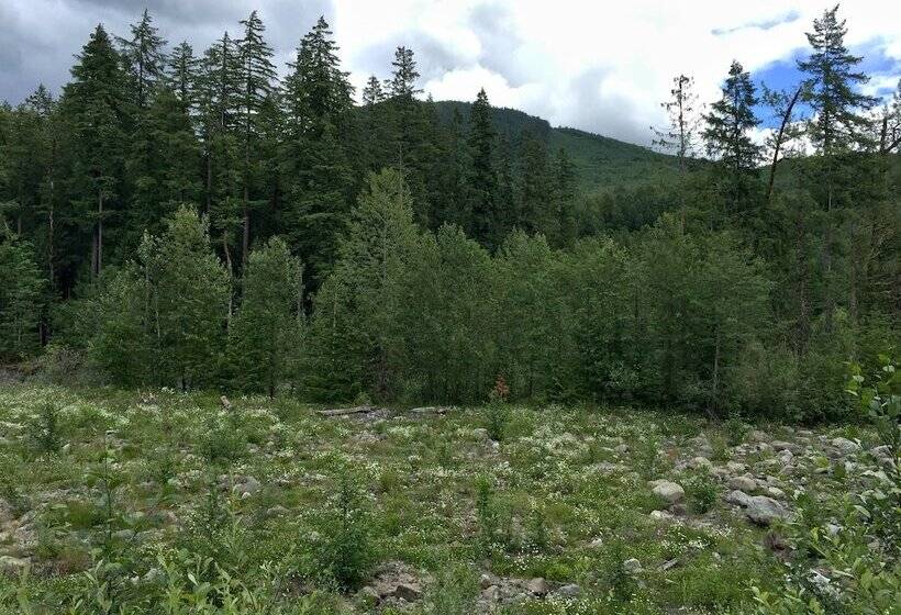 27gs   Bbq   Pets Ok   Wifi   Sleeps 8