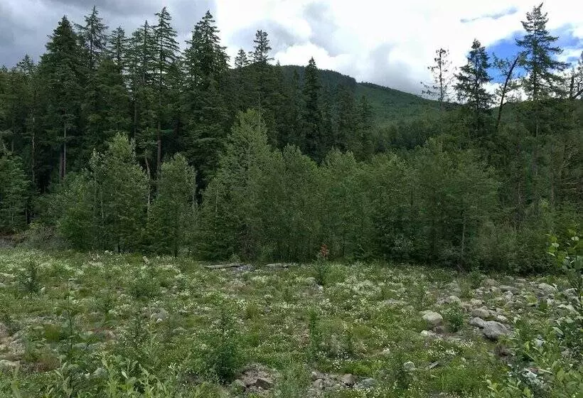 27gs   Bbq   Pets Ok   Wifi   Sleeps 8