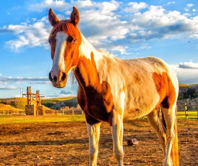 Maaseutuhotelli Ranches At Belt Creek