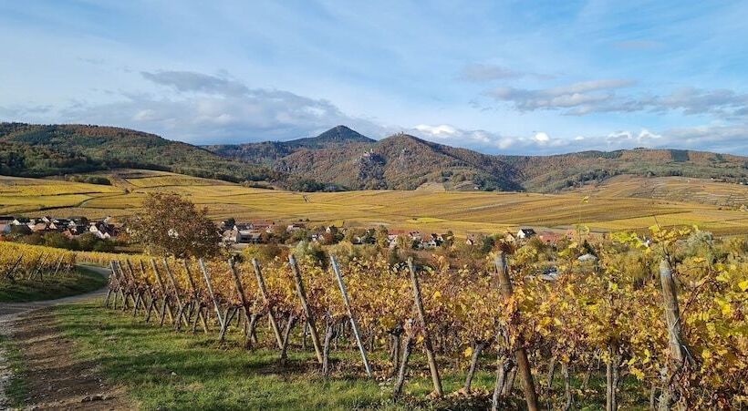 Пансион Maison D Hôtes Sainte Hune Chambres