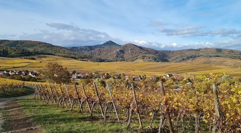 Majatalo Maison D Hôtes Sainte Hune Chambres