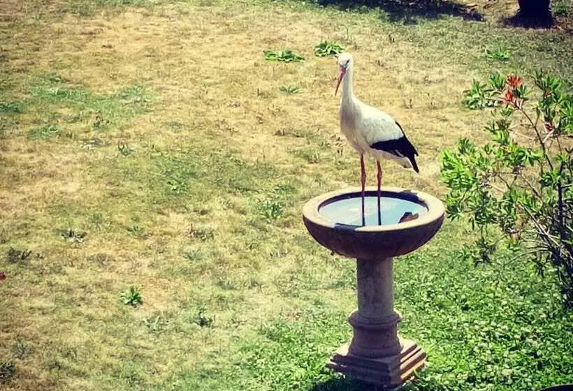 Majatalo Maison D Hôtes Sainte Hune Chambres