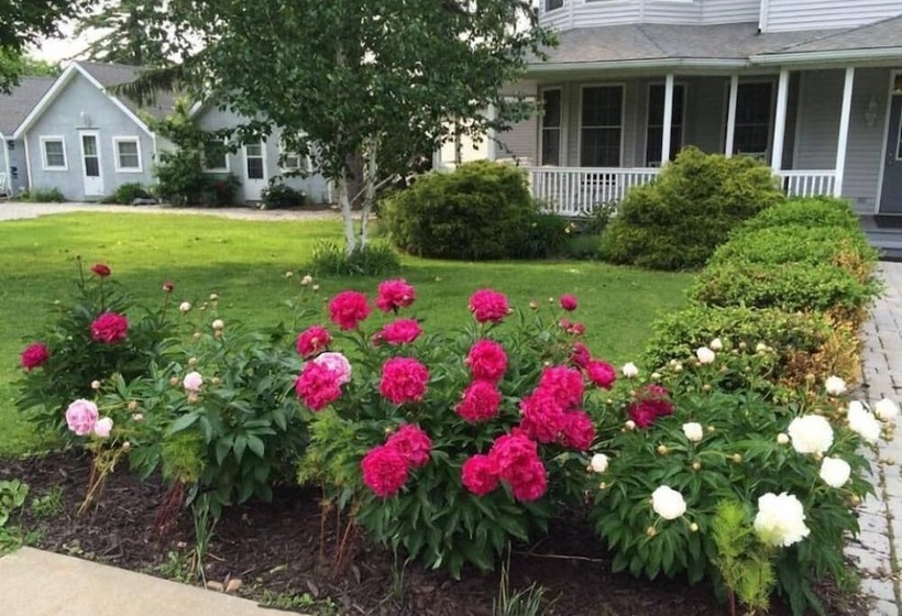 膳宿费 The Pavilion At The Park