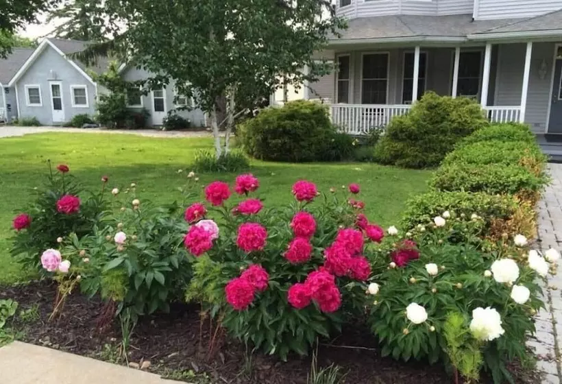 Majatalo The Pavilion At The Park