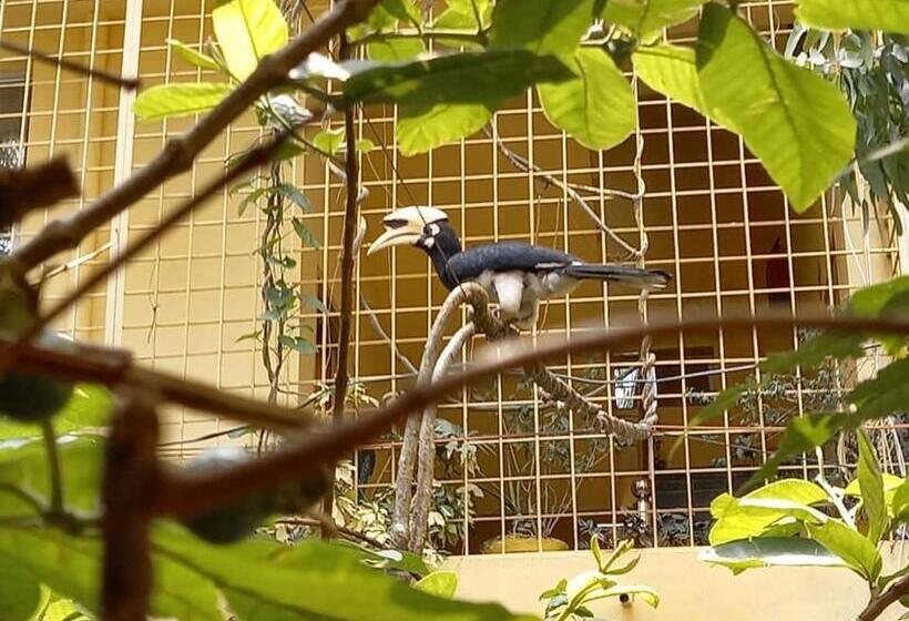 تختخواب و صبحانه Devi Music Ashram