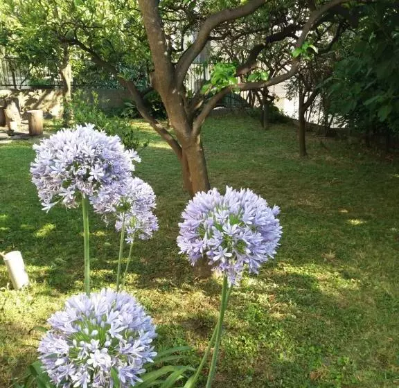 Guest House Topla