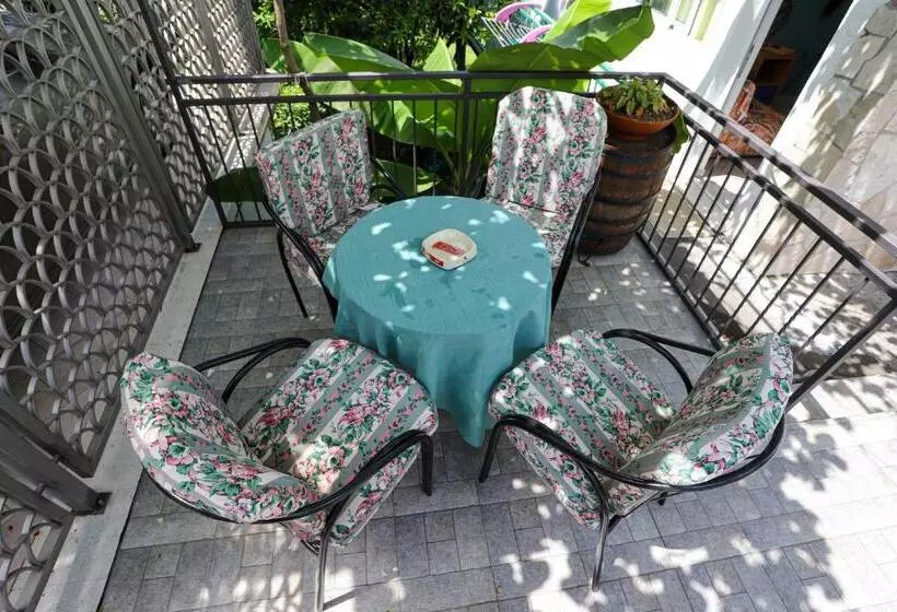 Guest House Topla