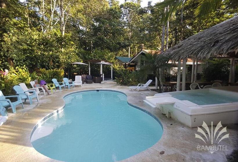 هتل Bambutel Cocles