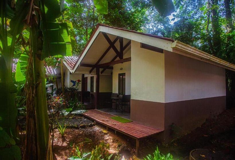 هتل Bambutel Cocles