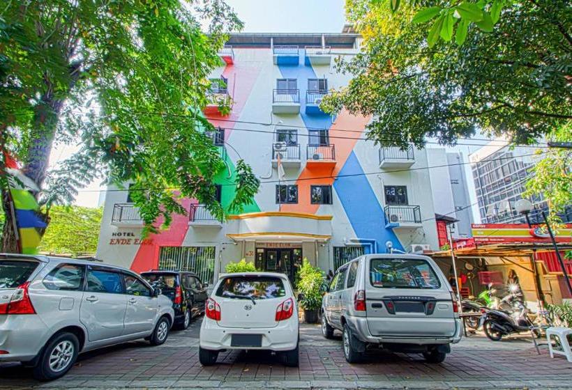 בית מלון כפרי Ende Elok