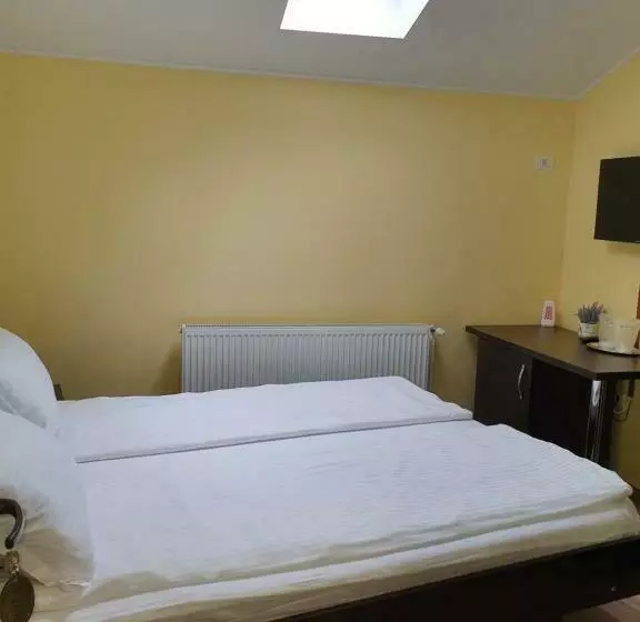 Hotelli Pensiunea Ada