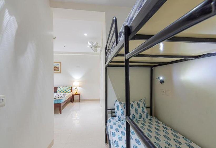 House Of Backpackers