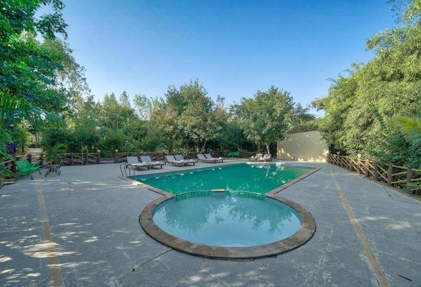 Tadoba Tiger King Resort