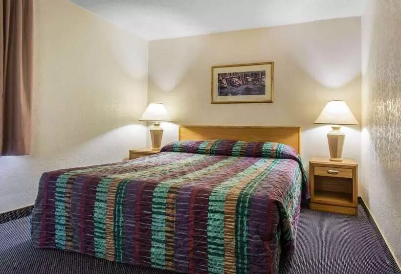 酒店 Rodeway Inn & Suites