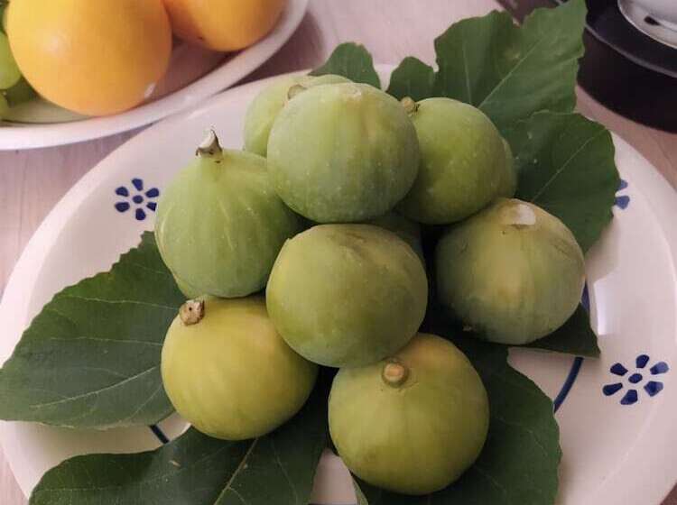 ベッドアンドブレックファースト La Dimora Del Principe