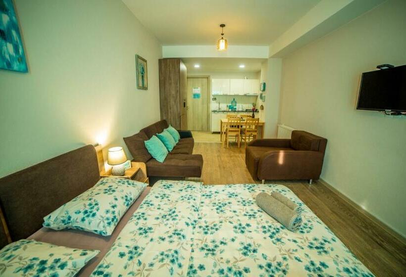 هتل Bakuriani Plaza A 208